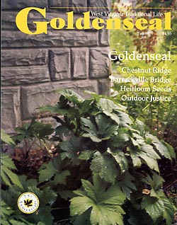 Goldenseal - Fall 1999